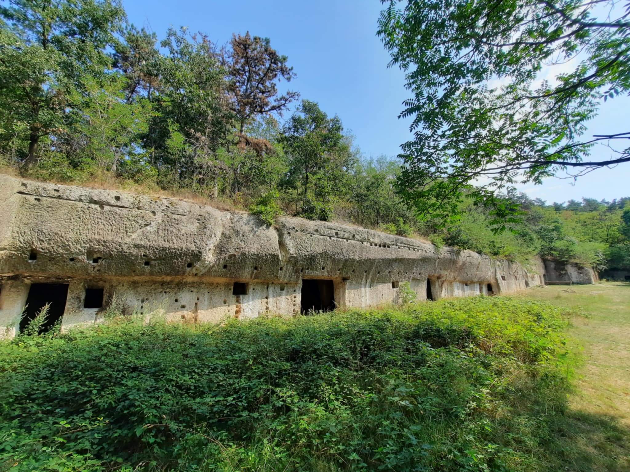 kohodaly