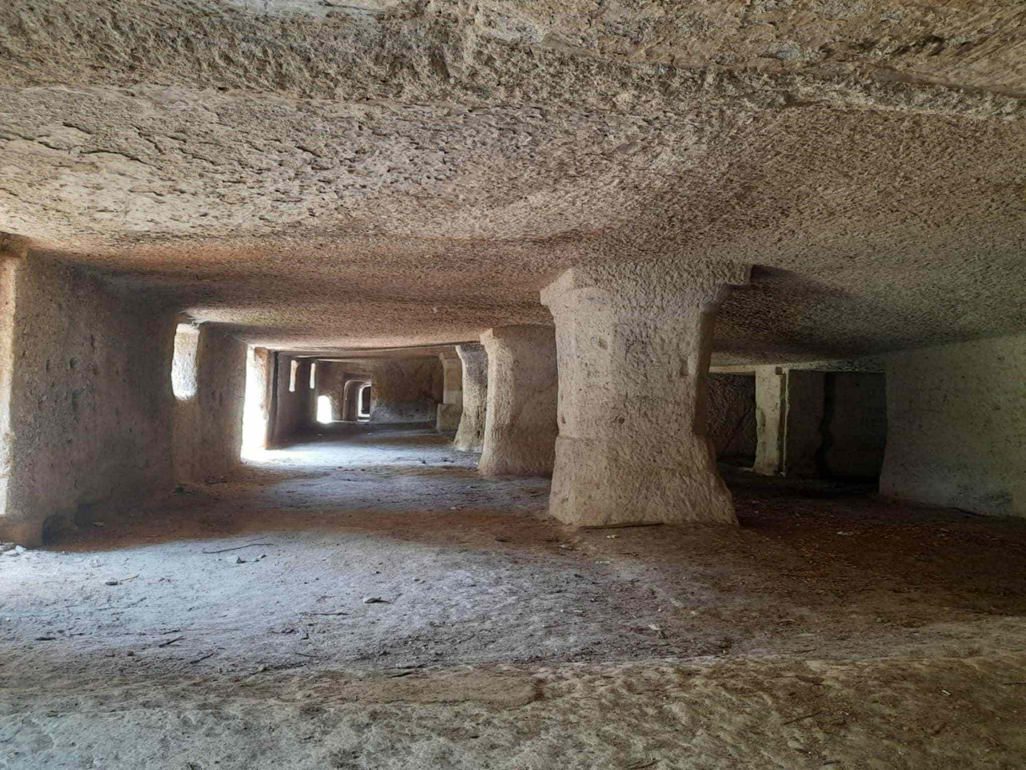 kohodaly