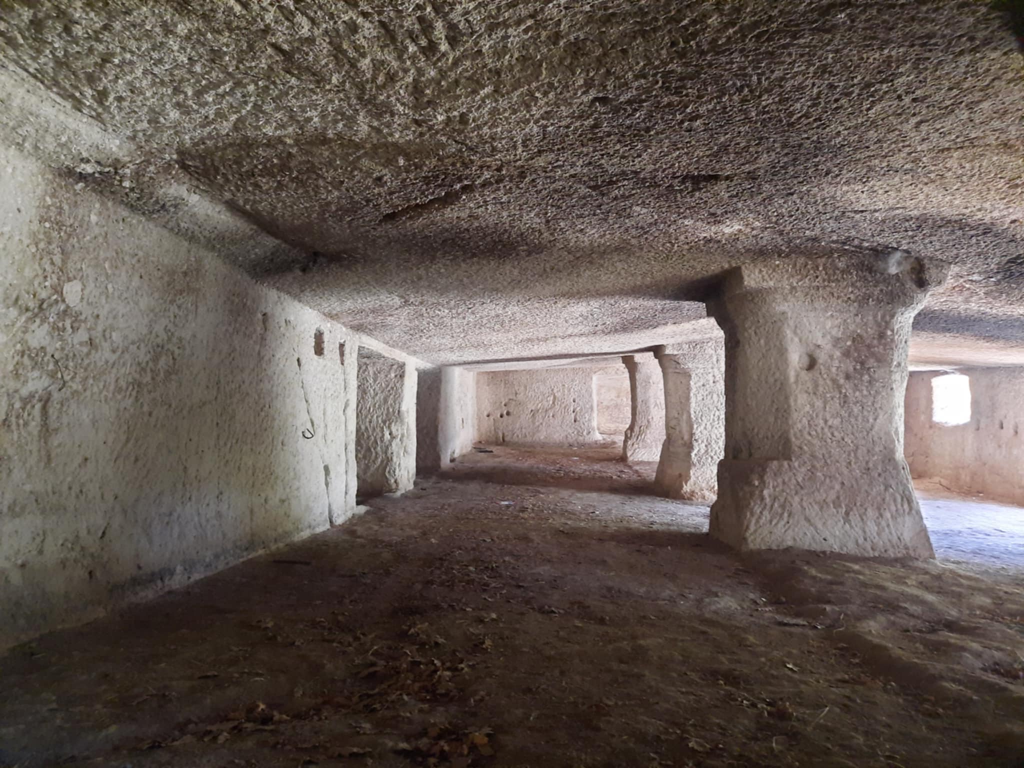 kohodaly