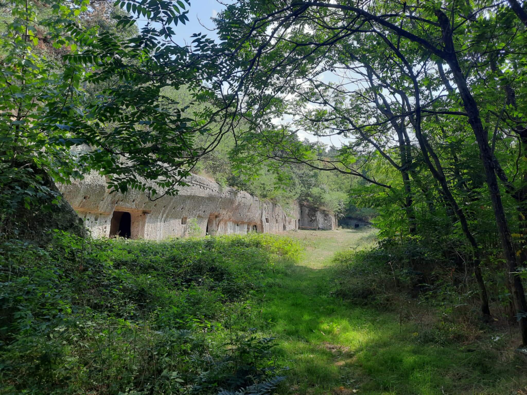 kohodaly